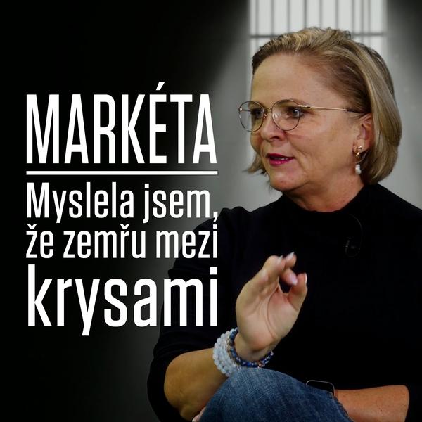 Motýl za katrem